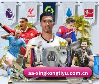 星空体育登录入口 APP(XINGKONGSPORTS)